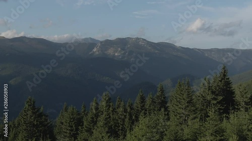 Great shot with drone over a land and a wild forest near Oslea mountain photo