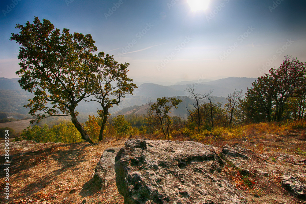 Fototapeta premium Colli Tortonesi