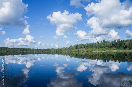 Blue forest lake with sky reflection and clouds.