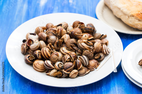 boiled snails on white plate on blue wooden background