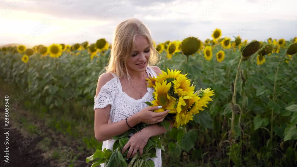 woman walking on yellow sunflower field. Freedom concept. Happy woman outdoors. Harvest. Sunflowers field in sunset. woman walking on yellow sunflower field. Freedom concept. Happy woman outdoors. Harvest. Sunflowers field in sunset.