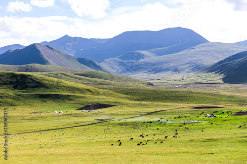 Qilian prairie landscape