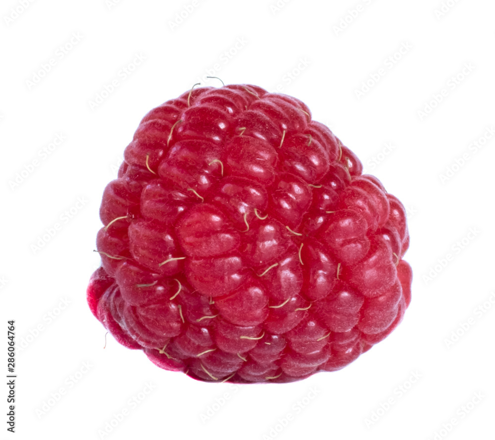berry raspberry isolate berry raspberry isolate