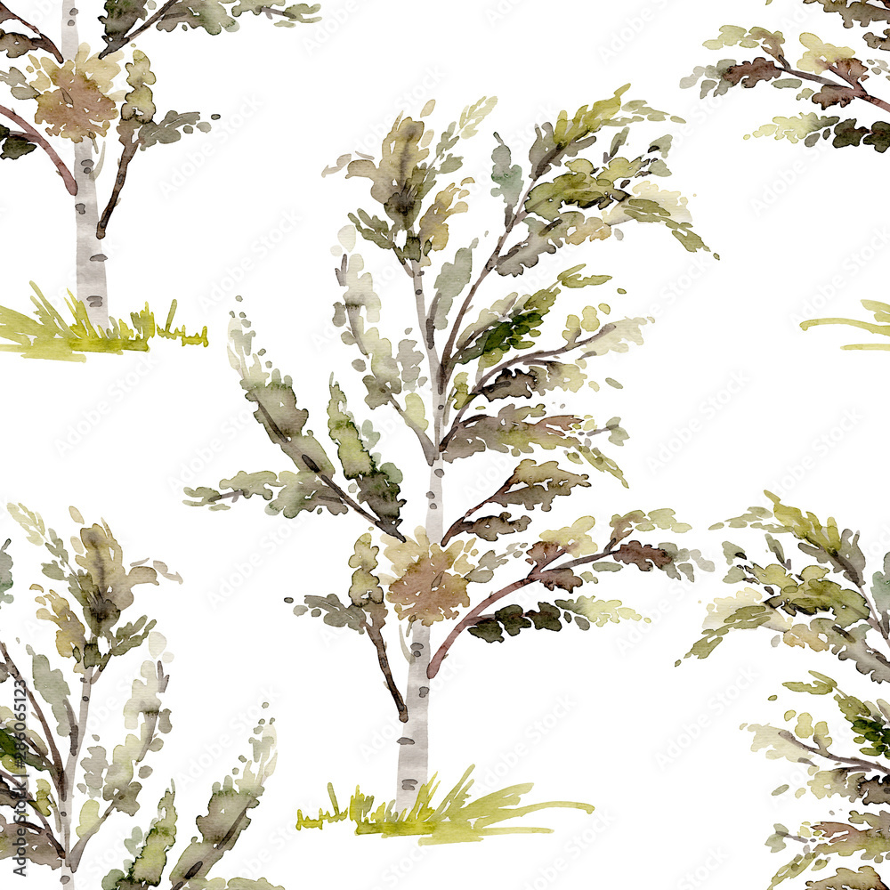 Birch watercolor illustration of a tree on a white background