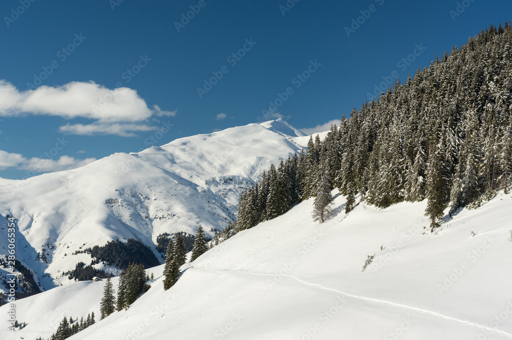 Winter landscape. Rodnei Mountaisn,. Transylvania, Romania