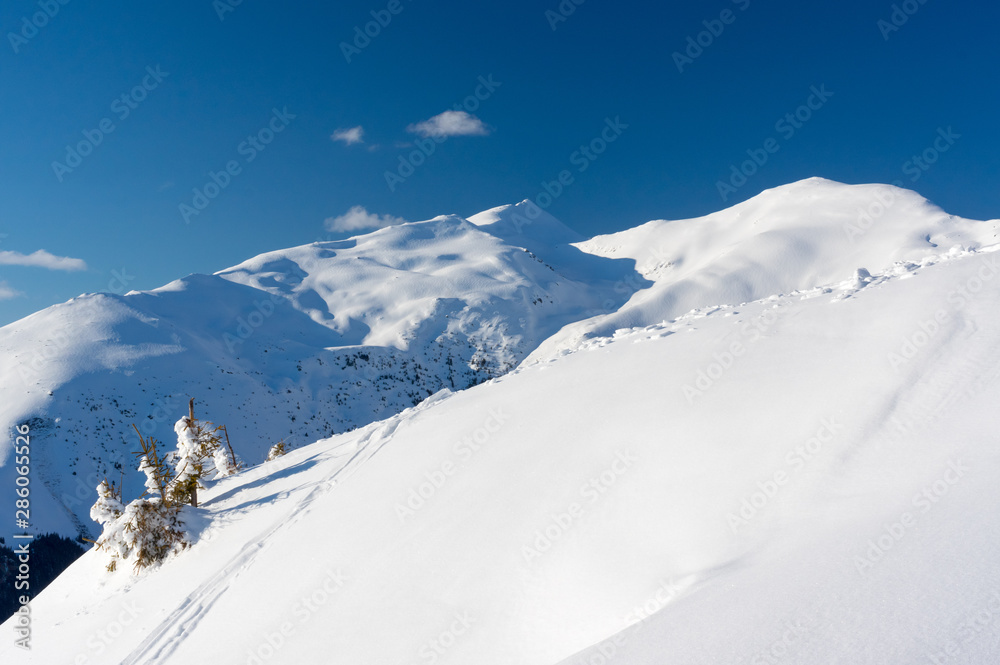 Winter landscape. Rodnei Mountaisn,. Transylvania, Romania