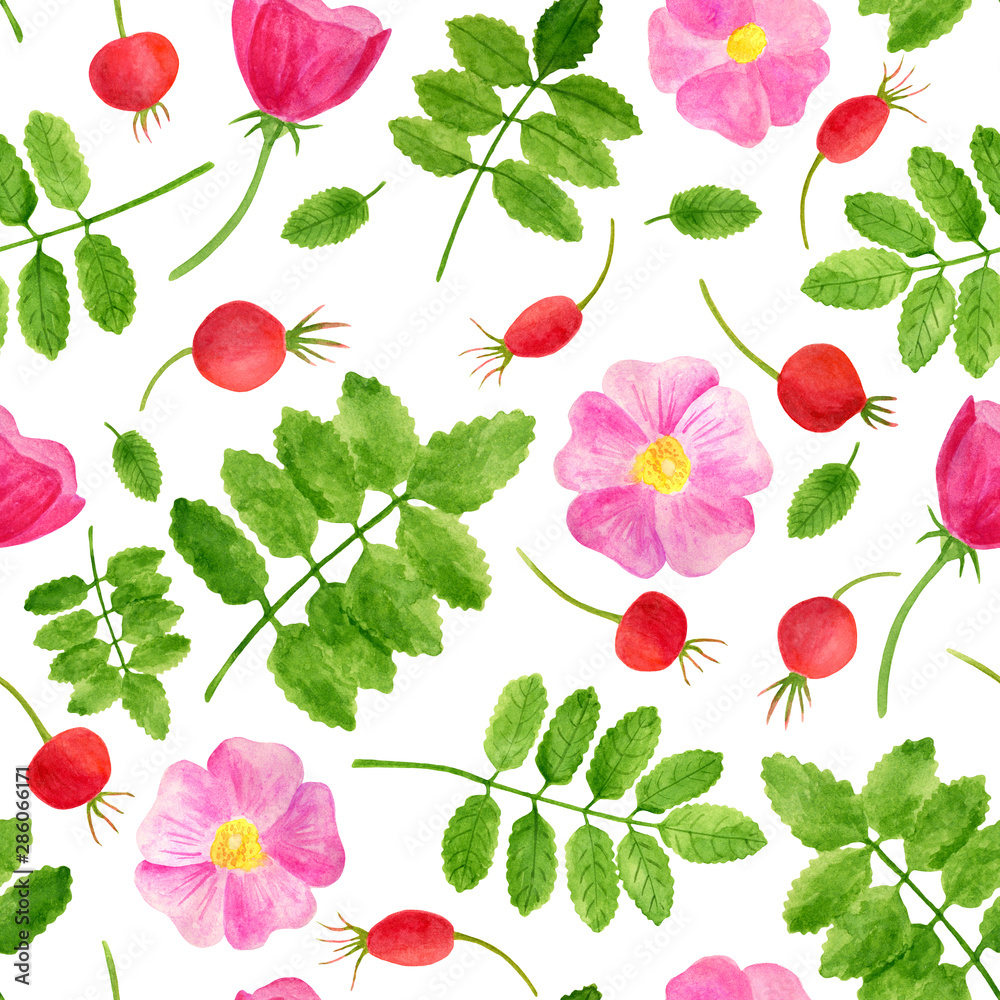 Watercolor red rose hips, flowers, leaves seamless pattern. Hand drawn background with green plants and brier berries. Floral template for home decor, design, textile, cards, decoration, cosmetics. Watercolor red rose hips, flowers, leaves seamless pattern. Hand drawn background with green plants and brier berries. Floral template for home decor, design, textile, cards, decoration, cosmetics.