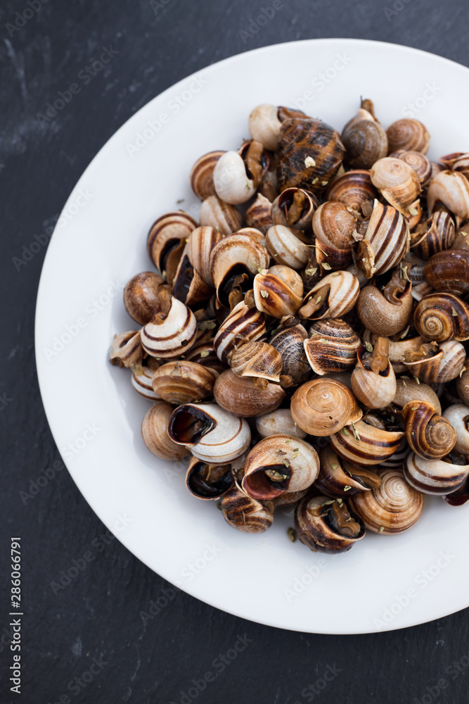 Fototapeta premium boiled snails on white plate on ceramic background