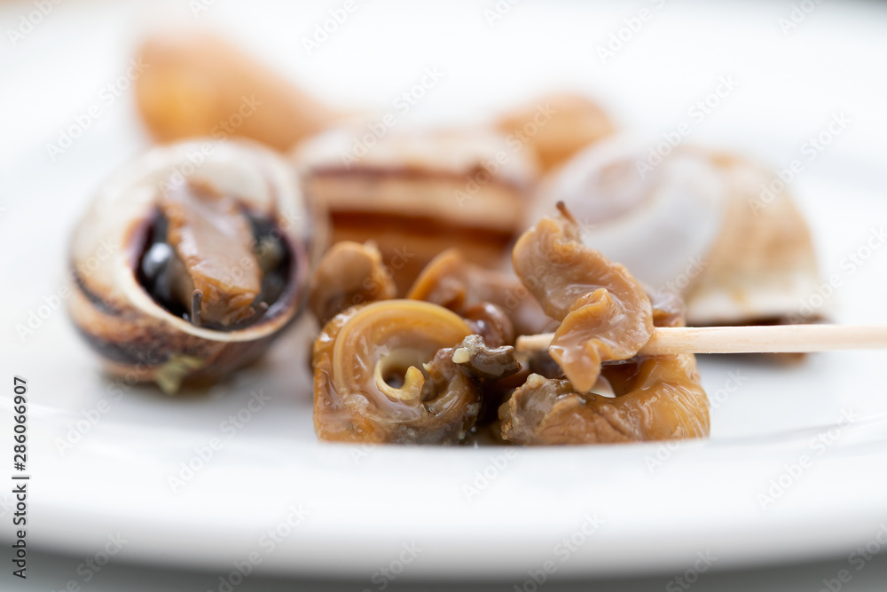 boiled snails on white plate on ceramic background boiled snails on white plate on ceramic background