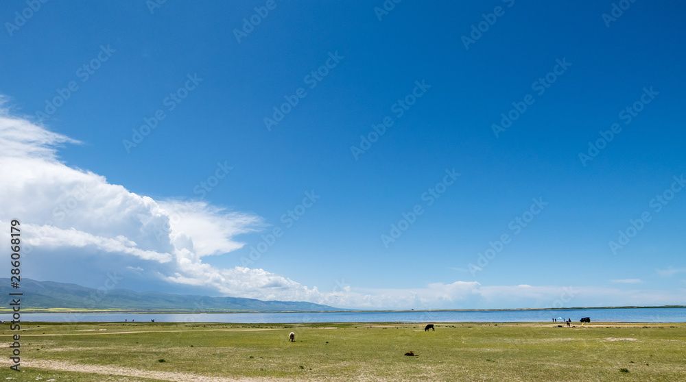 Obraz premium landscape of Qing-hai lake China