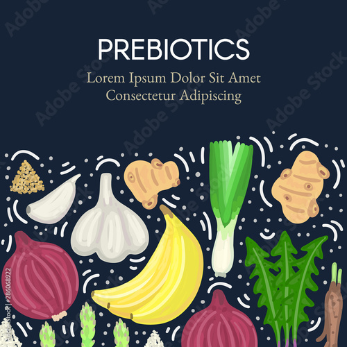 Prebiotic food. Nutrition. Nondigestible fibers. Gastrointestinal Health. Healthy diet supplement. Card, cover, label, package, brochure, banner, poster, advertisement, leaflet. Vector, eps10