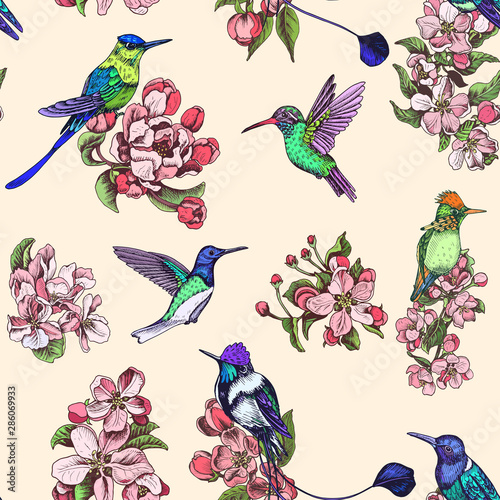 Template for wedding invitation. Card vector illustration with apple blossom and hummingbird.