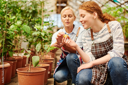 Women doing gardening in the vegetable section.