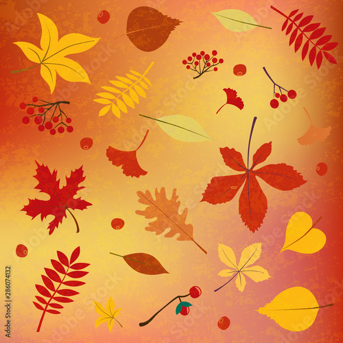 Vector illustration Autumn Fall leaves, seasonal berries, fruit, vegetables, pumpkin. Thanksgiving design. Template for placard, greeting postcard, design, flyer, presentation, web banner template