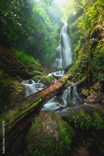 Fototapeta Naklejka Na Ścianę i Meble -  Close up view waterfall in deep forest at National Park, Waterfall river scene.