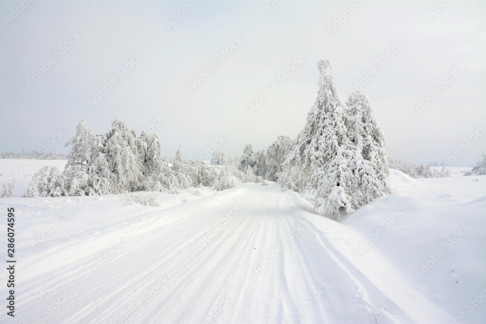 Fototapeta premium snow covered road