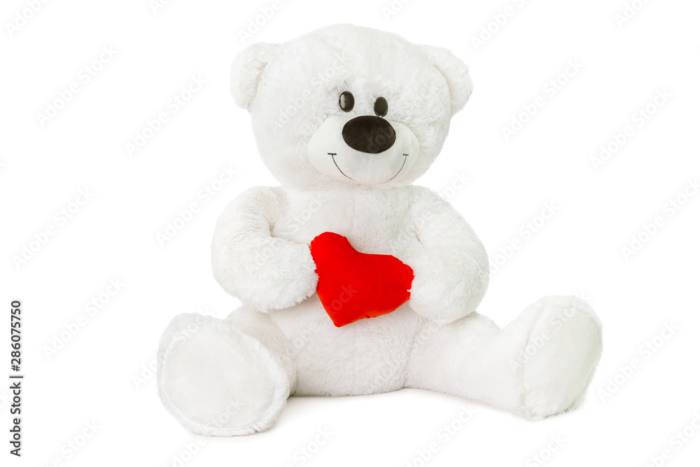 Image of white toy teddy bear holding red heart and sitting at isolated white background. Image of white toy teddy bear holding red heart and sitting at isolated white background.