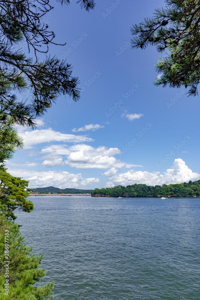 Fototapeta premium 快晴の松島を望む
