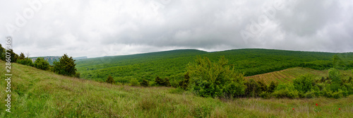 white and dark horses grazing on a green meadow near a high mountain covered with dense green vegetation, trees and grass, on an overcast day with clouds in the sky. Spring view of the Crimean mountai