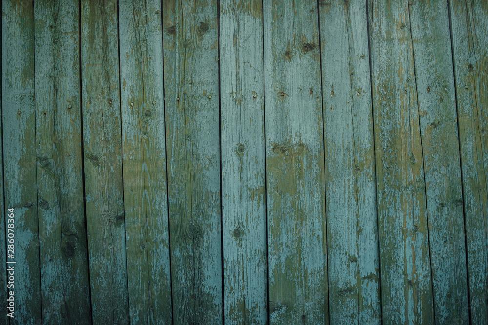 Green mint painted wood board texture and background. Green mint natural wooden background. Aged wood planks pattern. Wooden surface. Horizontal timber texture. Green mint wood barn. Green mint painted wood board texture and background. Green mint natural wooden background. Aged wood planks pattern. Wooden surface. Horizontal timber texture. Green mint wood barn.