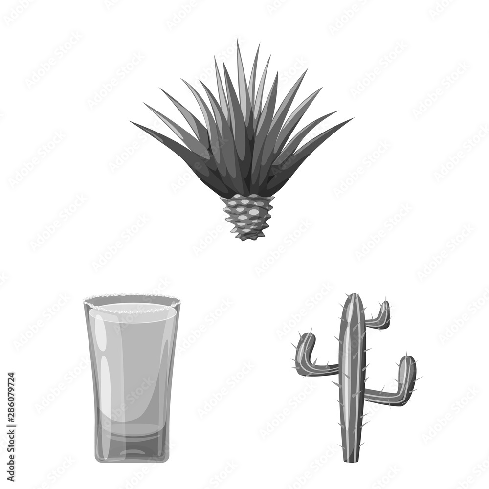 Vector design of fajita and fiesta sign. Collection of fajita and celebration stock symbol for web.
