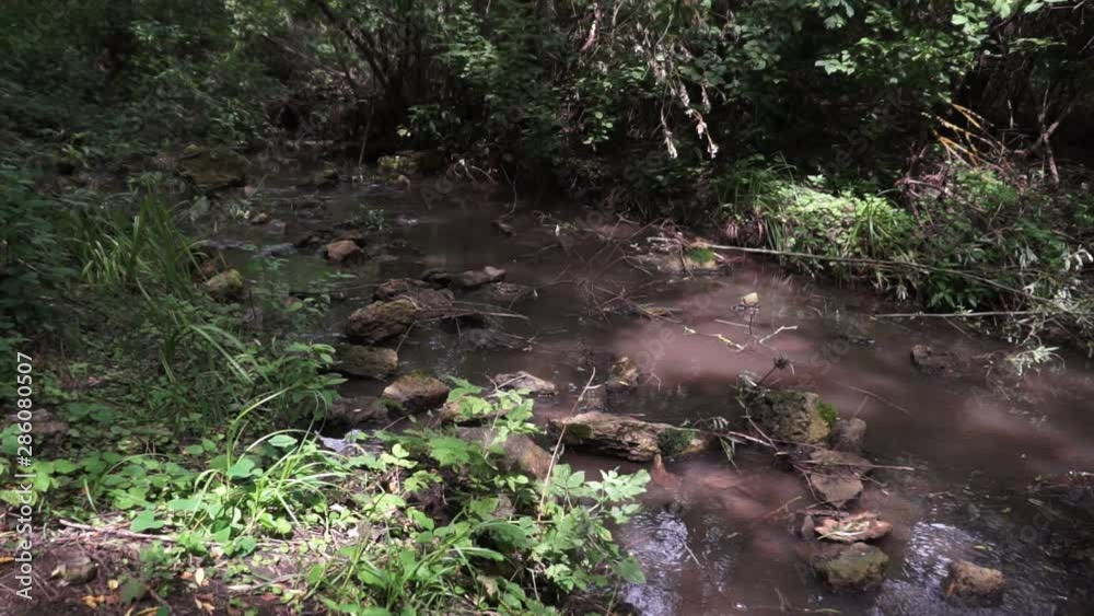 Forest stream running over mossy rocks. Small river waterfall in the summer green woodland Forest stream running over mossy rocks. Small river waterfall in the summer green woodland