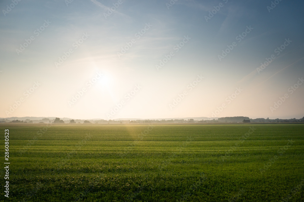 Nature Beautiful Green Landscape, Grass in the Foreground, Sun is Shining in the morning Nature Beautiful Green Landscape, Grass in the Foreground, Sun is Shining in the morning