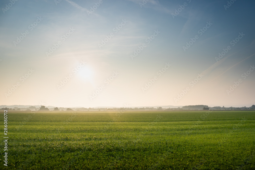 Nature Beautiful Green Landscape, Grass in the Foreground, Sun is Shining in the morning