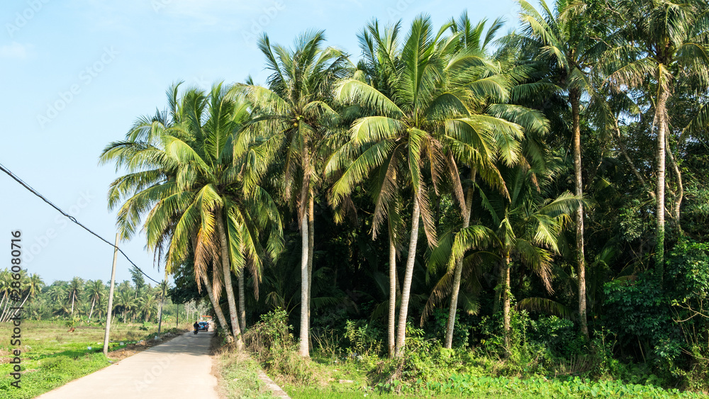 Hainan Wenchang scenery Hainan Wenchang scenery