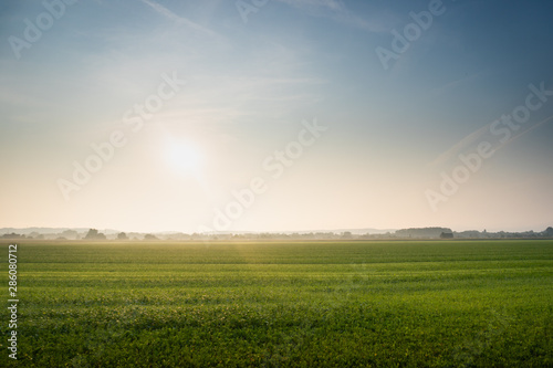 Nature Beautiful Green Landscape, Grass in the Foreground, Sun is Shining in the morning