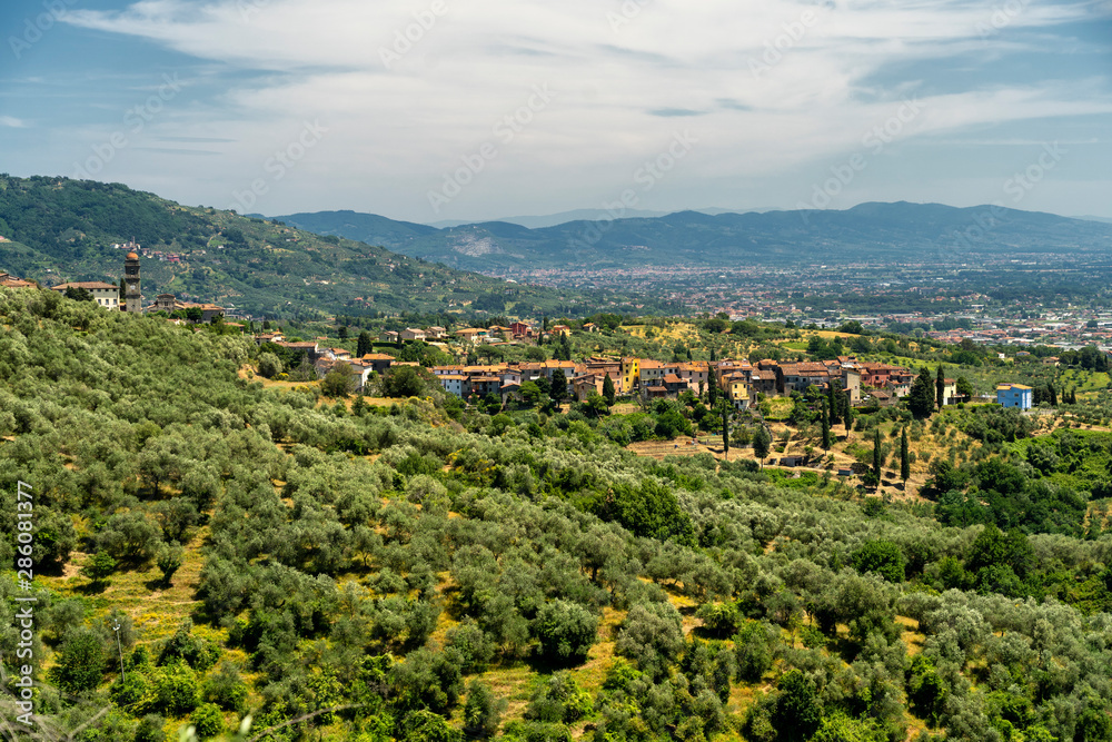 Hills near Petrognano, Lucca