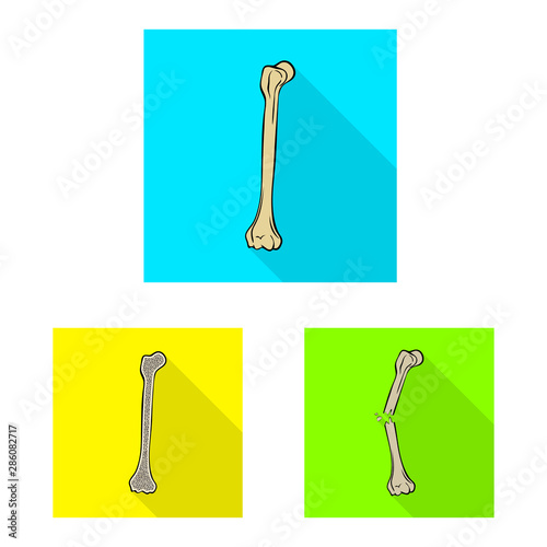 Isolated object of bone and skeleton symbol. Collection of bone and human stock symbol for web.