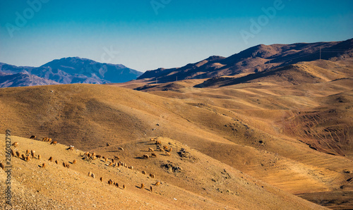 Landscape of Gobi Desert in Xinjiang