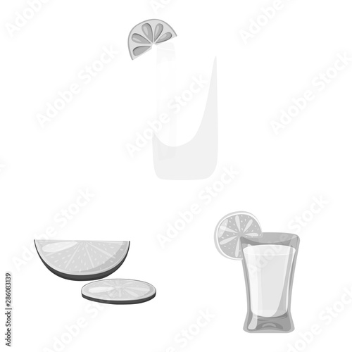 Isolated object of fajita and fiesta symbol. Set of fajita and celebration stock vector illustration.