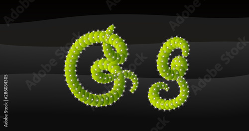 G-g 3D Cactus Alphabet