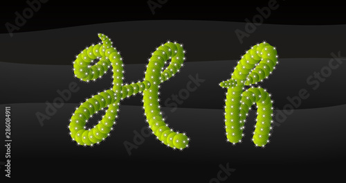 H-h 3D Cactus Alphabet