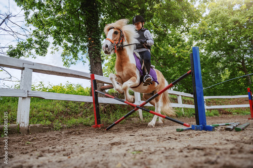 Young playful Caucasian girl with helmet and protective vest on riding adorable pony horse at ranch. Pony skipping obstacle.
