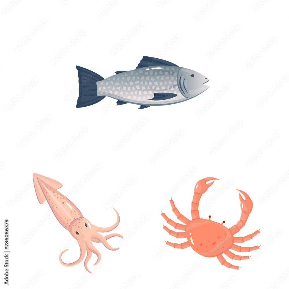 Naklejka premium Vector illustration of food and sea symbol. Collection of food and healthy stock symbol for web.