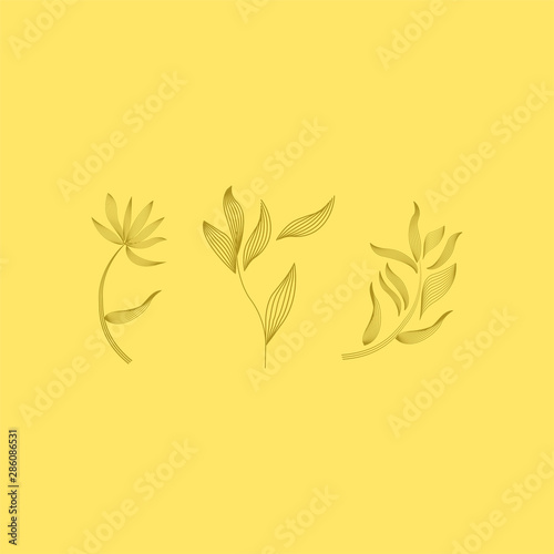 Collection of detailed drawings of trendy floristic flowers and decorative flowering plants isolated on white background. Bundle of elegant floral decorations. Colorful realistic vector illustration.