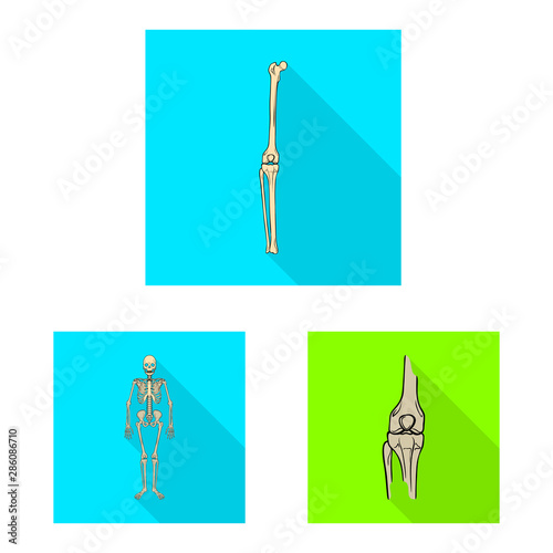 Vector design of bone and skeleton sign. Collection of bone and human stock symbol for web.