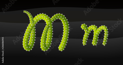 M-m 3D Cactus Alphabet