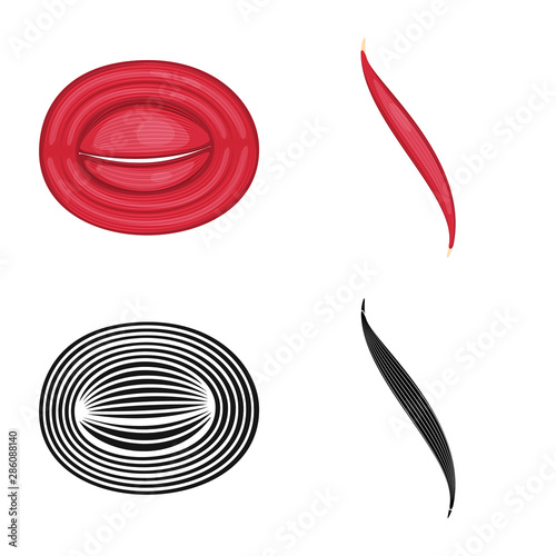 Isolated object of fiber and muscular logo. Collection of fiber and body stock symbol for web.