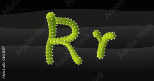R-r 3D Cactus Alphabet
