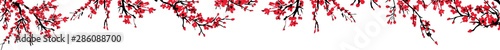 Cherry blossom Sakura bloom template