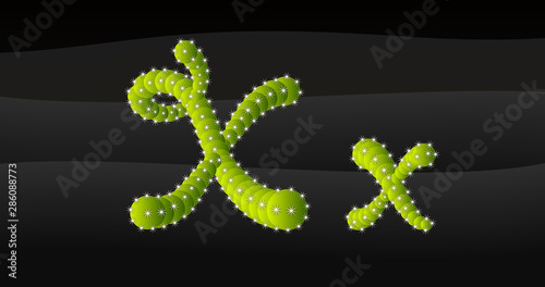 X-x 3D Cactus Alphabet