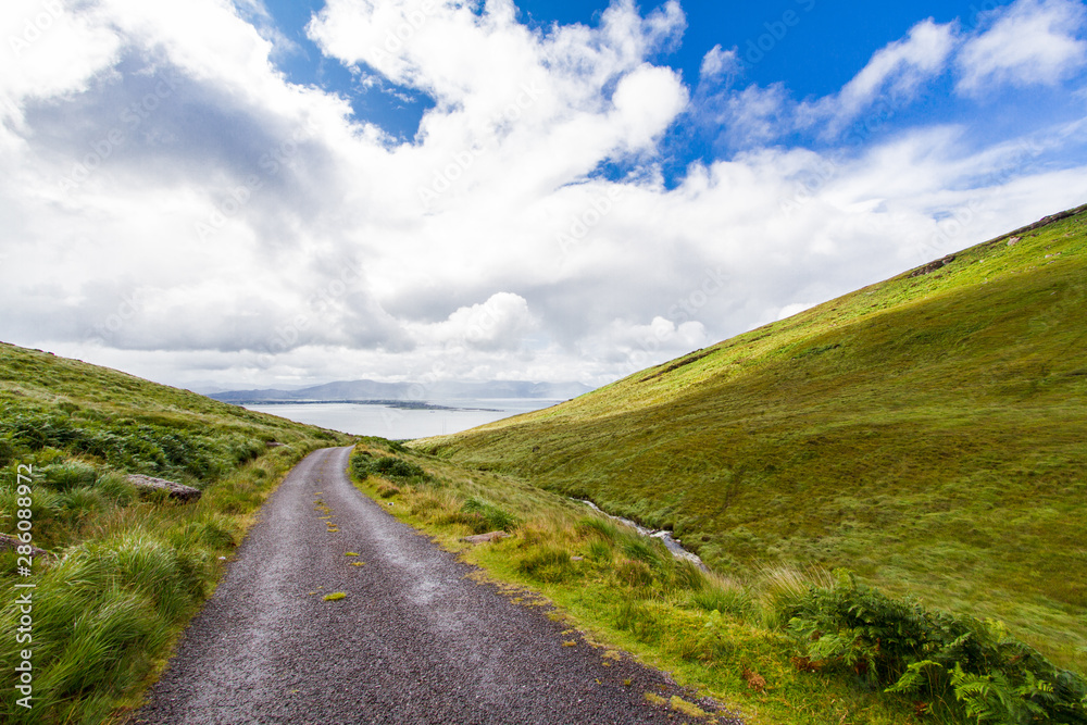 Irish narrow road through the nature