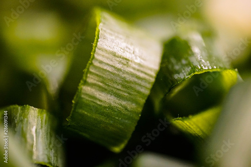 Lauch  Hintergrund  Textur  Gr  n  geschnitten  frisch  Makro  Macro  Nahaufnahme