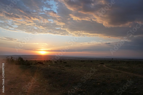 Sunset on the African Savannah