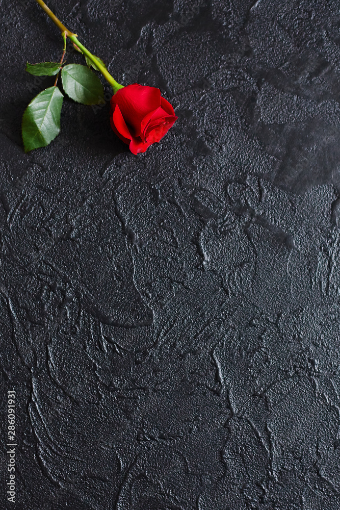 Red rose on a black background, stone. A condolence card. Empty space for  emotional, quotes or sayings. The view from the top. Stock Photo | Adobe  Stock