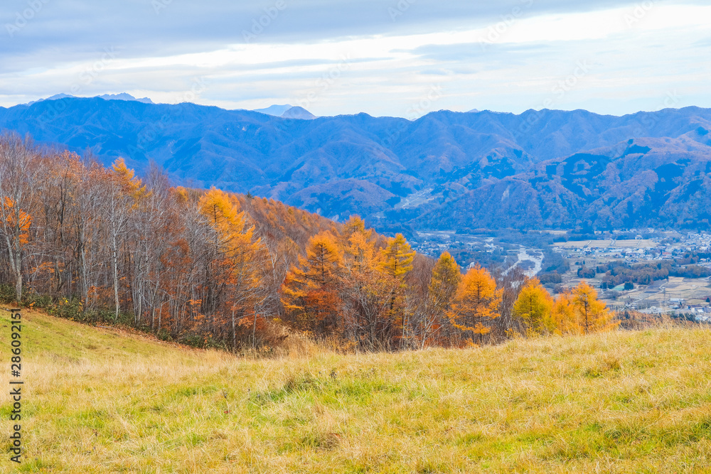 Beautiful landscape view of  autumn leaves in Hakuba, Nagano Prefecture Japan.